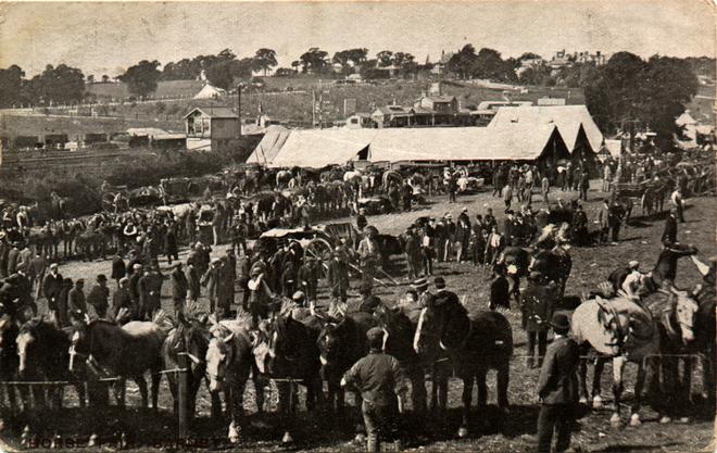 Horse Fair